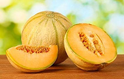 Sweet melon fruit seeds for garden growing