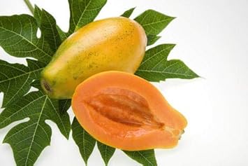 Papaya Fruit Seeds for Planting - Exotic and Colorful for Garden Enthusiasts