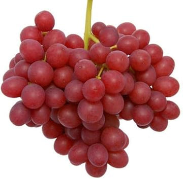 Red Grape Fruit Seeds for Planting - Plant Your Own Vineyard for Fresh Grapes,Heirloom Seeds