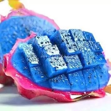 Fresh Pitaya Fruit Seeds Easy to Grow Blue 100 Pcs pcs