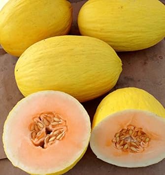 Crenshaw Melon Seeds, Grow Your Own Sweet, Juicy Melons 100 Pcs pcs