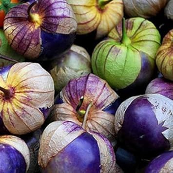 Tomatillo Seeds for Planting, 100 Pcs pcs