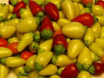 Cascabella Hot Pepper Seeds for Planting - 100 Pcs pcs