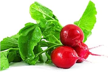 Radish Red Fruit and Vegetable Seed for Planting Red heirloom & Non-GMO Seeds