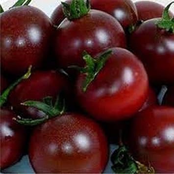 Tomato Seeds for Planting, Maroon, 100 Pcs pcs