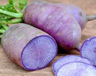 Radish Vegetable Seeds for Planting – Unique Blue Radish Variety 100 Pcs pcs
