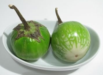 Green Eggplant Seeds for Planting - 100 Pcs pcs