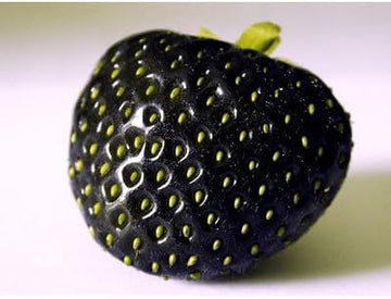 Strawberry Fruit Seeds for Cultivating Juicy Red Berries