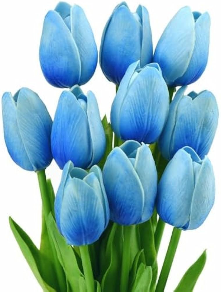 Sky Blue Tulip Flower Seeds for Planting ƒ?? Heirloom, Non-GMO, Vibrant Blooms for planting in your garden.