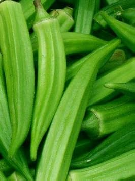 Okra Seeds for Planting, Green, NON GMO Seeds