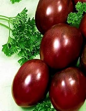 Tomato Seeds for Planting, Maroon Red, 100 Pcs pcs