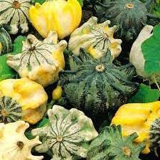 Thorn Pumpkin Vegetable Seeds for Planting heirloom & Non-GMO Seeds
