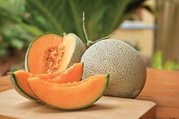 Cantaloupe Fruit Seeds for Planting Yellow 100 Pcs pcs