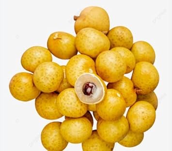 Golden Yellow Longan Fruit Seeds - A Rare Tropical Gem to Enhance Your Garden 100 Pcs pcs