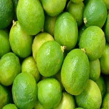 Green Lemon Fruit Seeds for Planting - Grow Your Own Sweet & Juicy Lemons