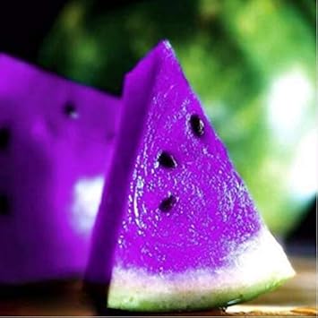 Purple Watermelon Fruit Seeds for Planting - Unique, Sweet, and Refreshing for Your Garden