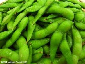 Green Edamame Seeds for Planting, heirloom & Non-GMO Seeds