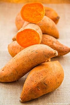 Deep Orange Sweet Potato Vegetable Seeds for Planting – Orange Variety, Heirloom, Non-GMO Vegetable Seeds