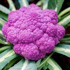 Pink Cauliflower Vegetable Seeds for Planting - 100 Pcs pcs
