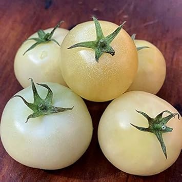 Cream Tomato Seeds for Planting - 100 Pcs pcs