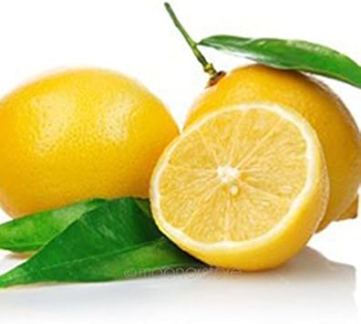 Yellow lemon fruit seeds