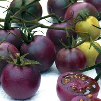 Tomato Seeds for Planting, Purple, 100 Pcs pcs