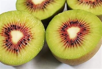 Red Heart Kiwi Fruit Seeds for Planting - Non-GMO, Unique, and Sweet Garden Fruit
