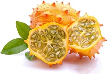 Yellow Cucumis Metuliferus Vegetable Seeds for Planting heirloom & Non-GMO Seeds