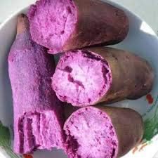 Sweet Potato Vegetable Seeds – Rich Purple Flesh Variety 100 Pcs pcs
