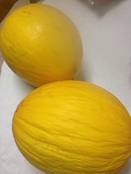 Yellow Melon Seeds for Planting - Sweet Fruit - heirloom & Non GMO Seeds