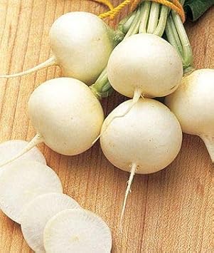 White Radish Seeds for Planting - 100 Pcs pcs