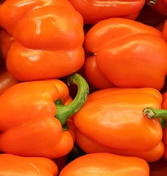Orange Bell Pepper Vegetable Seeds for Planting-Heirloom & Non-GMO Seeds for planting