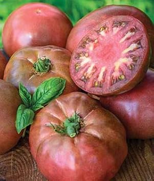 Big Tomato Seeds for Planting, Maroon, 100 Pcs pcs