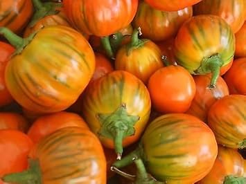 Orange Turkish Seeds for Planting - heirloom & Non-GMO Seeds