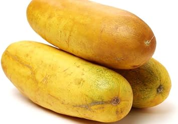 Thick Yellow Cucumber Vegetable Seeds for Planting, heirloom & Non-GMO Seeds