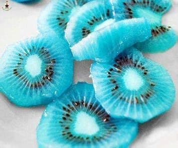 Sky Blue Kiwi Fruit Seeds for Planting - Heirloom & Non-GMO Seeds