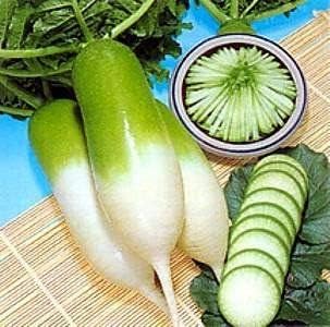 Rainbow Radish Seeds for Planting Green White - 100 Pcs pcs
