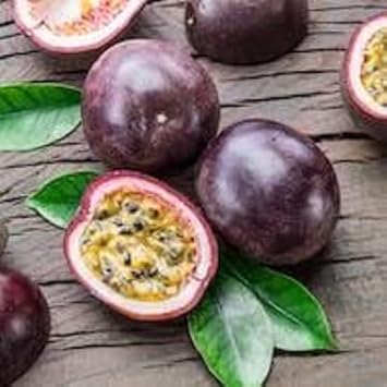 Purple Passion Fruit Passiflora edulis seeds for planting in home garden