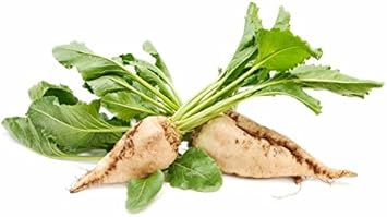 Cream Beet Seeds for Planting - heirloom & Non-GMO Seeds