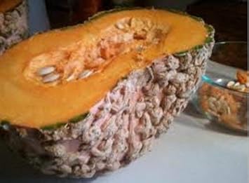 12pcs Brown Pumpkin Fruit Seeds - Hardy and Nutritious Pumpkins for Fall Harvest 100 Pcs pcs