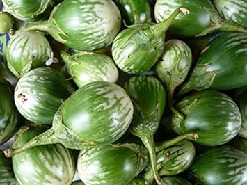 Green & White Eggplant Seeds for Planting - 100 Pcs pcs