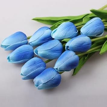 Sky Blue Tulip Flower Seeds for Planting – Heirloom, Non-GMO, Vibrant Blooms