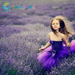 Organic Purple Hoary Stock Flower Seeds for Planting – Heirloom, Non-GMO