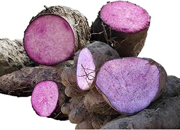 Dioscorea Vegetable Seeds for Planting, heirloom & Non-GMO Seeds