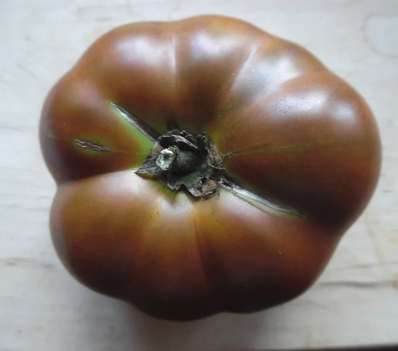 Dwarf Chocolate Tomato Solanum lycopersicum seeds for urban garden planting