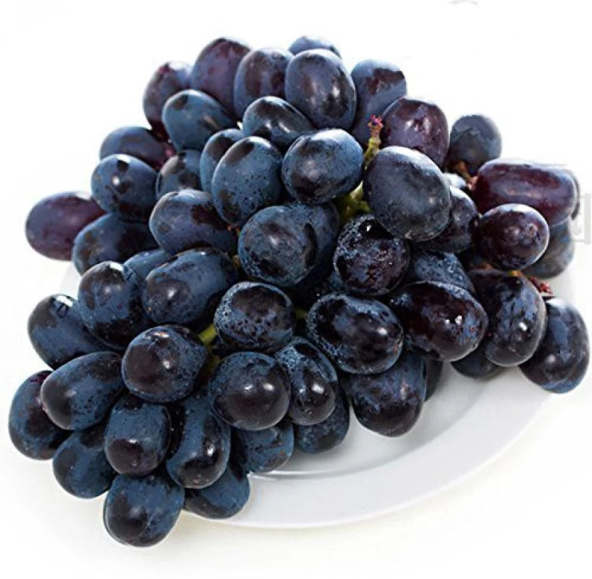 Black Brazilian grape seeds for garden planting