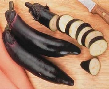 Black Eggplant Vegetable Seeds for Planting - 100 Pcs pcs
