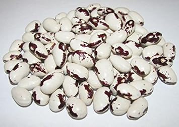 Black & White Troot Bean Seeds for Planting - heirloom & Non-GMO Seeds