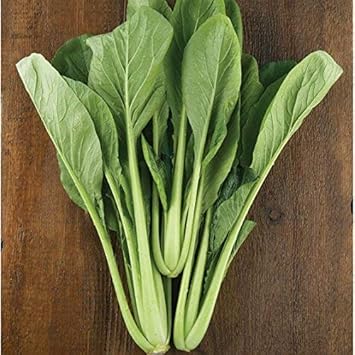 Green Komatsuna Vegetable Seeds for Planting, heirloom & Non-GMO Seeds