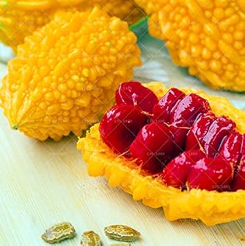 Yellow Bitter Gourd Seeds for Planting, heirloom & Non-GMO Seeds